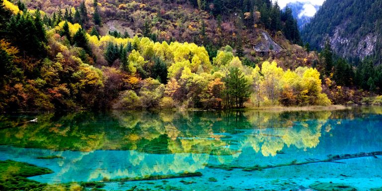 The Most Beautiful National Forest Parks of China - China Top Trip