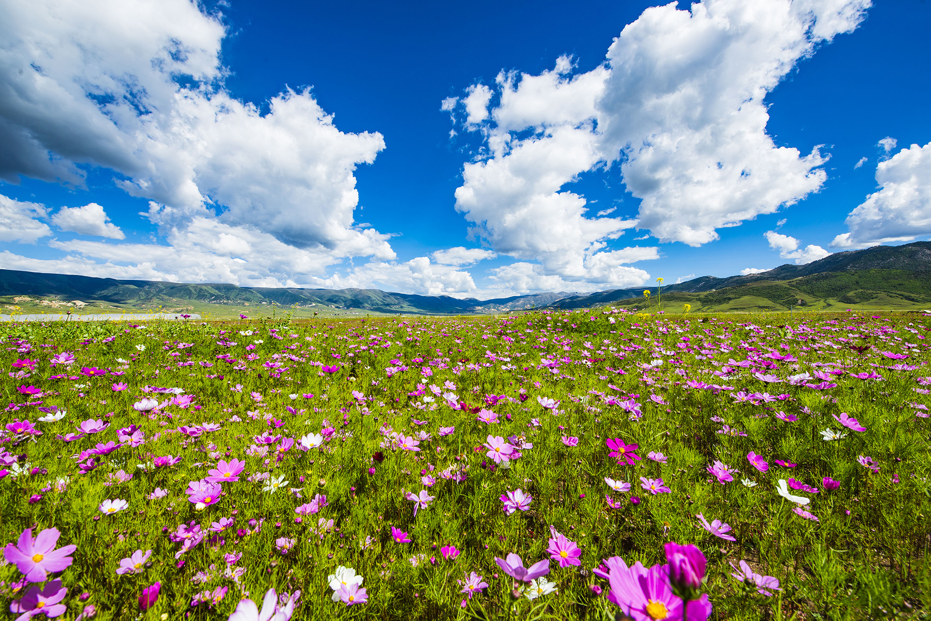 Daocheng Yading Natural Reserve - Garze Attractions - China Top Trip