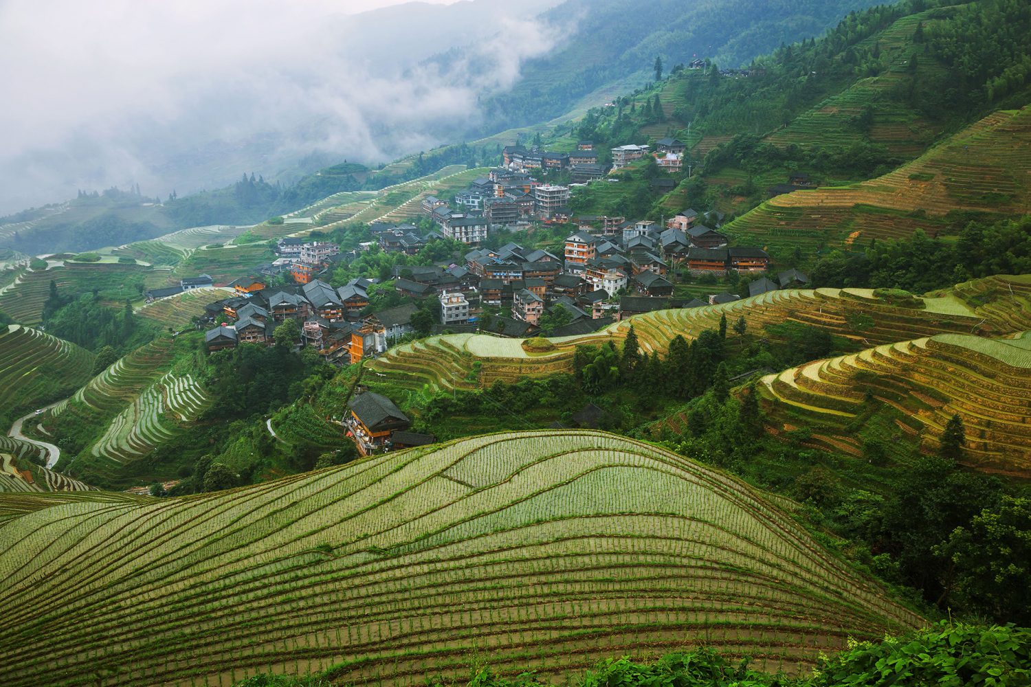 Longsheng Longji Rice Terraces - Guilin Attractions - China Top Trip