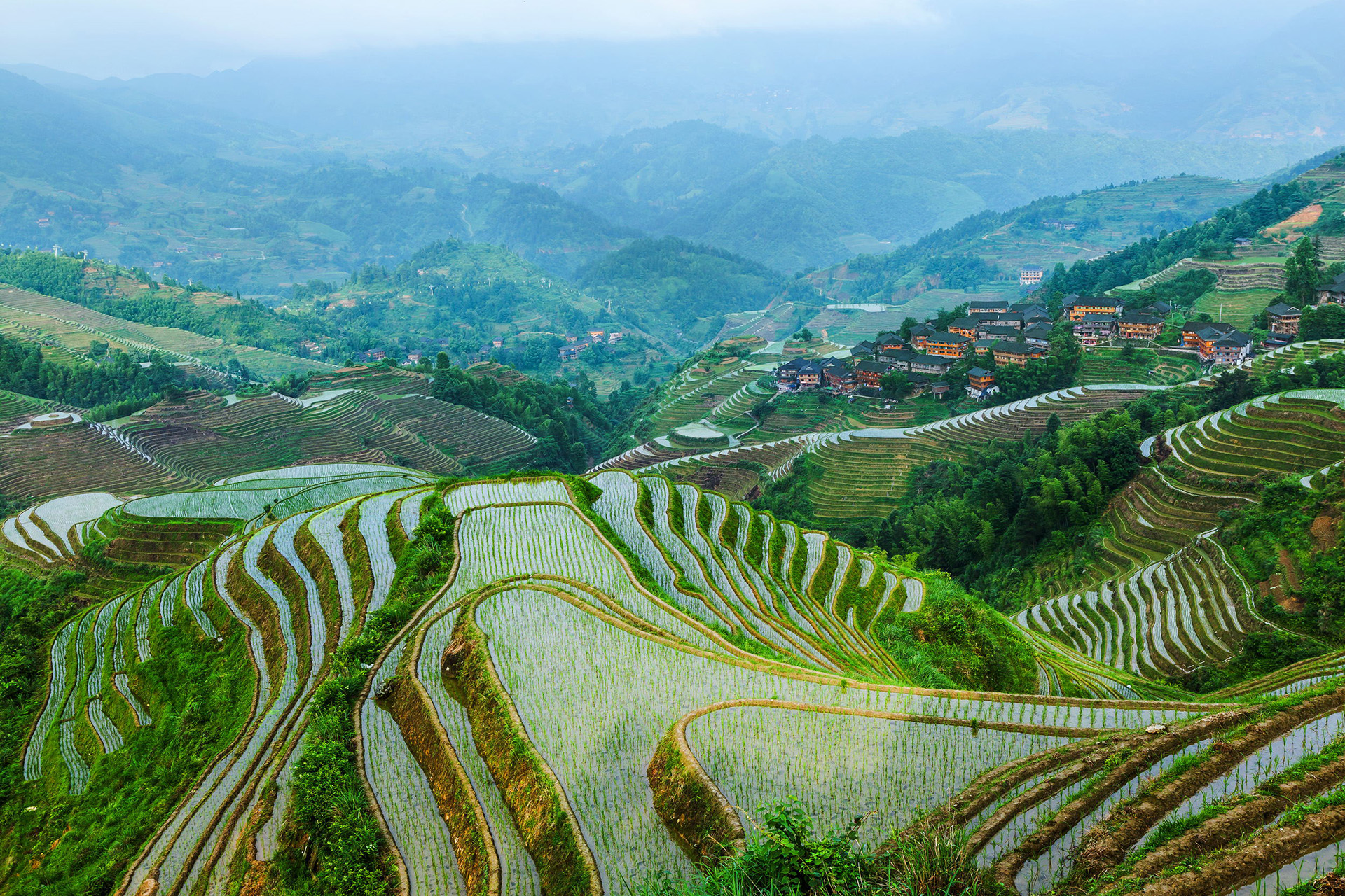 Longsheng Longji Rice Terraces - Guilin Attractions - China Top Trip