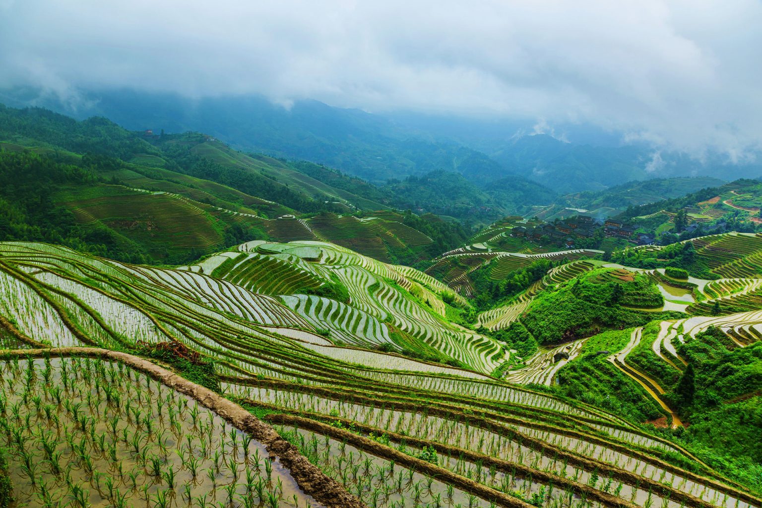 Longsheng Longji Rice Terraces - Guilin Attractions - China Top Trip