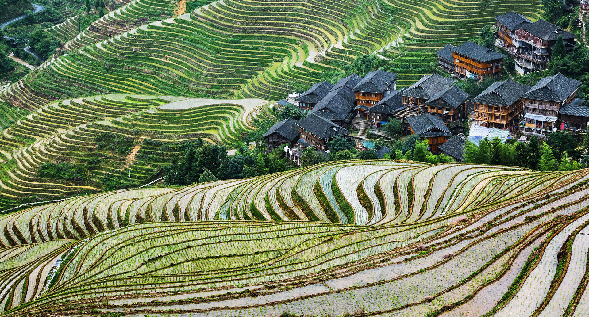 Longsheng Longji Rice Terraces - Guilin Attractions - China Top Trip